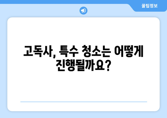 고독사 특수 청소 및 유품 정리| 업체 비용, 가구 수거, 그리고 당신이 알아야 할 모든 것 | 고독사, 특수청소, 유품정리, 비용, 가구수거, 정보