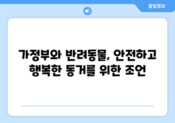 가정부에게 집 맡긴 후 돌아온 고양이의 충격적인 모습 | 가정부, 고양이, 안전, 주의 사항, 사건