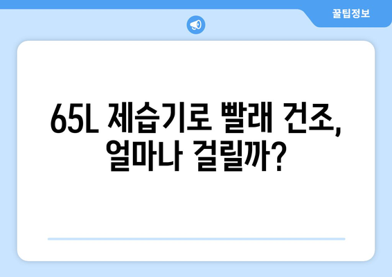 65L 제습기, 빨래 건조에 적합할까? | 제습기 용량, 빨래 건조 시간, 효율적인 사용법