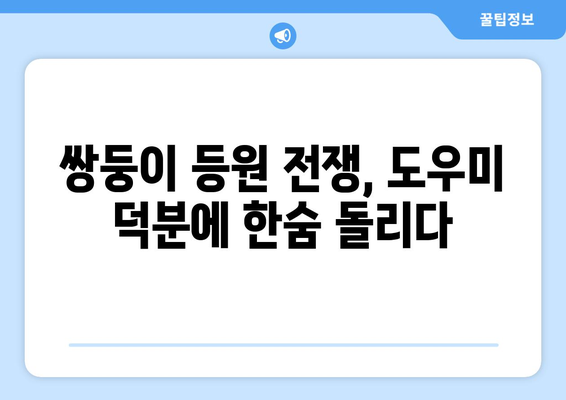 쌍둥이 육아 일기| 등원 도우미와 함께 보낸 하루 | 쌍둥이, 육아, 등원, 도우미, 일상