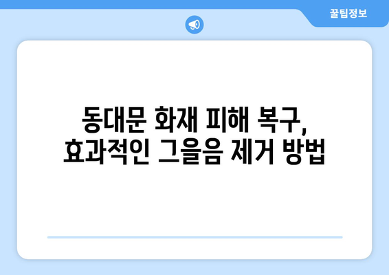 동대문 화재 후, 간접 화재 특수 청소 비용 가이드| 그을림 제거 전문 업체 비교 | 화재 복구, 그을음 제거, 특수 청소, 동대문