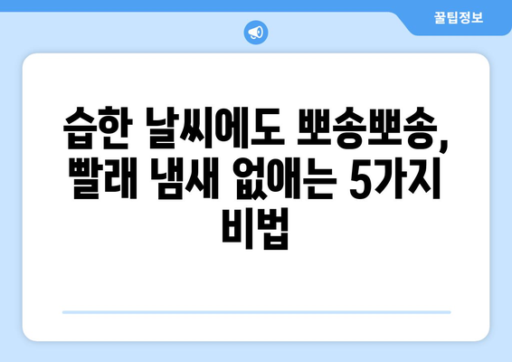 습한 날씨 빨래 냄새 퇴치 작전| 꿉꿉함 날려버리는 5가지 비법 | 빨래 냄새 제거, 습기 제거, 빨래 건조 팁