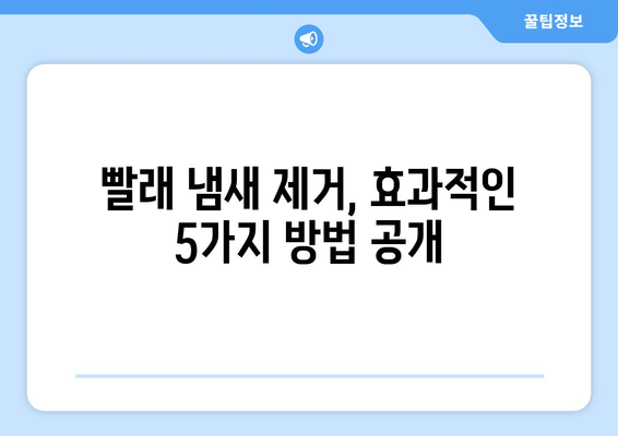 습한 날씨 빨래 냄새 퇴치 작전| 꿉꿉함 날려버리는 5가지 비법 | 빨래 냄새 제거, 습기 제거, 빨래 건조 팁