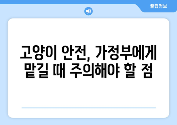 가정부에게 집 맡긴 후 돌아온 고양이의 충격적인 모습 | 가정부, 고양이, 안전, 주의 사항, 사건