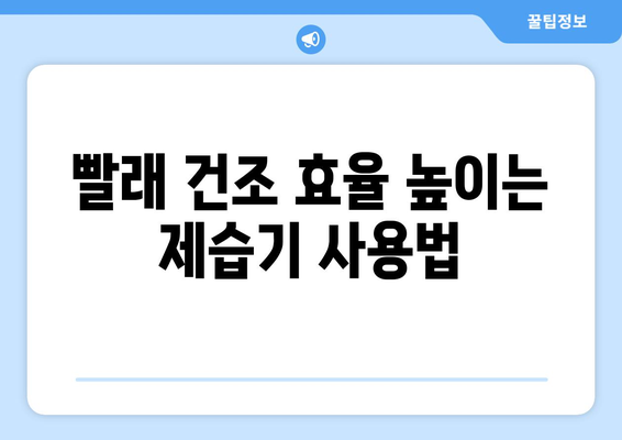 65L 제습기, 빨래 건조에 적합할까? | 제습기 용량, 빨래 건조 시간, 효율적인 사용법