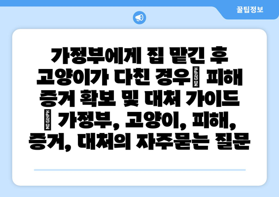 가정부에게 집 맡긴 후 고양이가 다친 경우| 피해 증거 확보 및 대처 가이드 | 가정부, 고양이, 피해, 증거, 대처