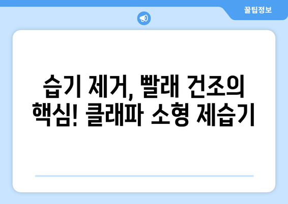 빨래 걱정 끝! 옷 빨리 말리는 소형 제습기 추천| 클래파! | 빨래 건조, 습기 제거, 빨래 빨리 마르는 꿀팁