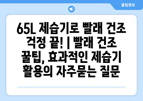 65L 제습기로 빨래 건조 걱정 끝! | 빨래 건조 꿀팁, 효과적인 제습기 활용