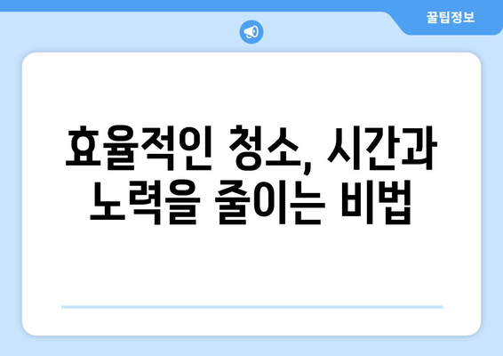 대구 특수 청소 전문가가 알려주는 효율적인 청소 비법 | 특수 청소, 대구 청소 업체, 청소 팁, 효율적인 청소