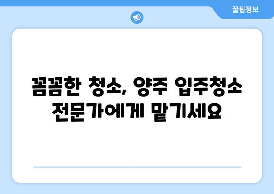 양주 입주청소, 직영업체가 깐깐하게 깨끗한 공간을 만들어 드립니다! | 입주청소, 꼼꼼한 청소, 직영 서비스, 양주