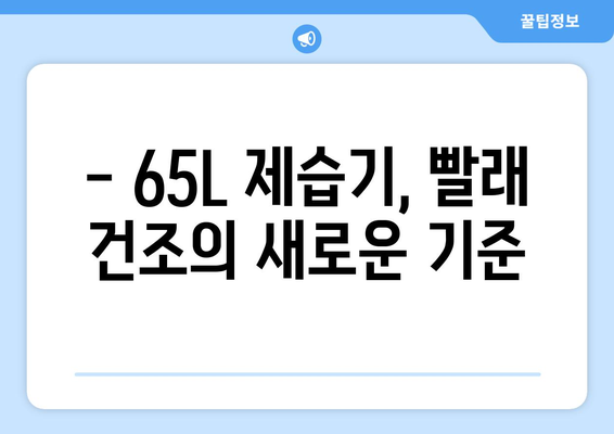 65L 제습기로 빨래 건조 걱정 끝! | 빨래 건조 꿀팁, 효과적인 제습기 활용