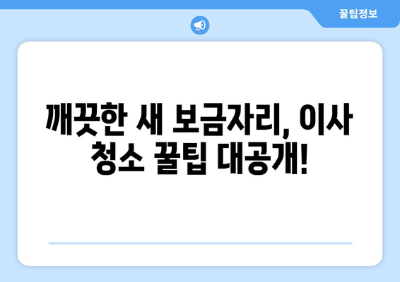 아파트 이사 청소, 전문 대행업체와 함께 편안하고 깨끗하게! | 이사 청소, 꿀팁, 추천 업체, 비용