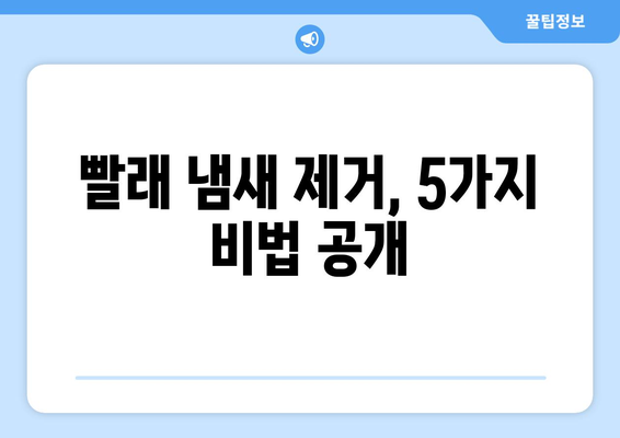 장마철 눅눅한 빨래, 냄새 없이 뽀송하게 관리하는 5가지 꿀팁 | 빨래 냄새 제거, 빨래 관리, 장마철 빨래 팁