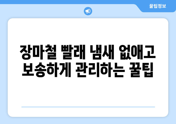 장마철 빨래 냄새 없애고 보송하게 관리하는 꿀팁 | 습기, 곰팡이, 제습, 빨래 건조