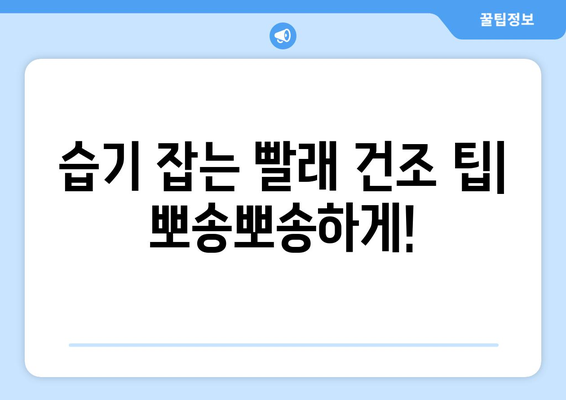 습한 날씨에도 뽀송뽀송! 빨래 냄새 없애는 5가지 관리법 | 빨래 냄새 제거, 습기 제거, 빨래 건조 팁