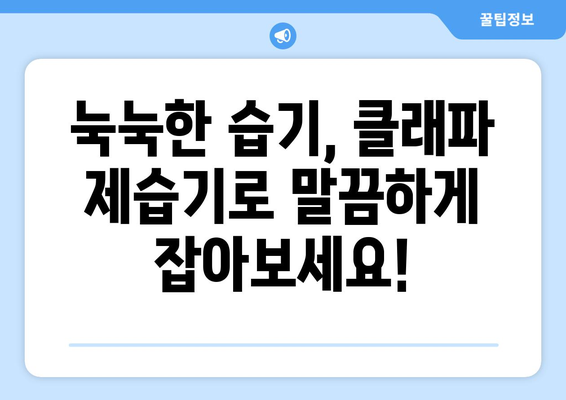 빨래 건조 걱정 끝! 소형 제습기 추천| 클래파 제품 비교 분석 | 빨래 건조, 습기 제거, 소형 제습기, 클래파