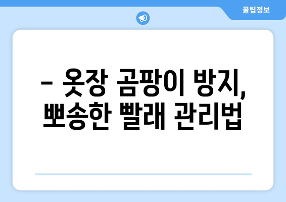 장마철 빨래 뽀송하게 말리는 꿀팁 7가지 | 빨래 건조, 빨래 빨리 마르는 법, 장마철 빨래 팁