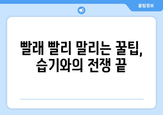 습한 날씨 빨래 냄새 퇴치 작전| 꿉꿉함 날려버리는 5가지 비법 | 빨래 냄새 제거, 습기 제거, 빨래 건조 팁