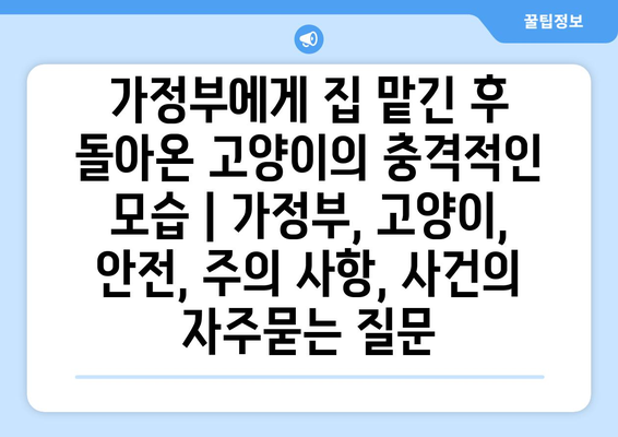 가정부에게 집 맡긴 후 돌아온 고양이의 충격적인 모습 | 가정부, 고양이, 안전, 주의 사항, 사건