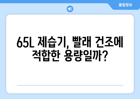 65L 제습기, 빨래 건조에 적합할까? | 제습기 용량, 빨래 건조 시간, 효율적인 사용법