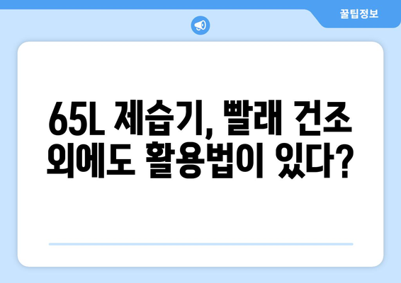 65L 제습기, 빨래 건조에 적합할까? | 제습기 용량, 빨래 건조 시간, 효율적인 사용법