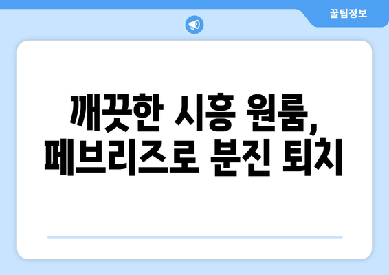 시흥 원룸 분진, 페브리즈로 퇴치하고 깨끗하고 편안한 공간 만들기 | 시흥 원룸, 분진 제거, 페브리즈 활용법, 쾌적한 공간