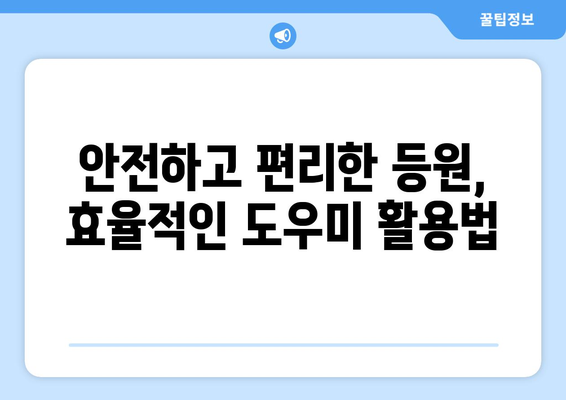 아동 복지 정책과 함께하는 등원 도우미 활용 가이드 | 아동 돌봄, 안전, 효율성, 정책 분석